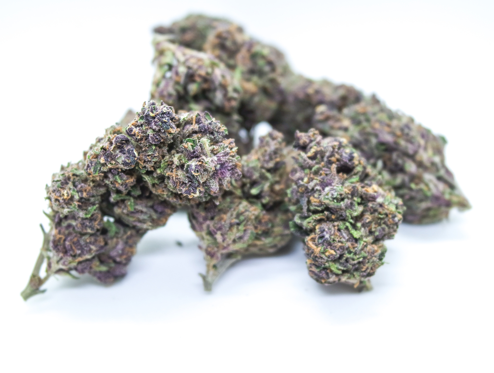 high quality marijuana with purple coloring